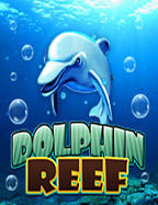 ประสบการณ์ใหม่กับเกมมา ส คา ร่า โฮ ไล ท์ the jackpot xo